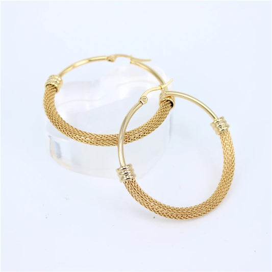 Hot classic Gold color 316 stainless steel jewelry earrings fashion wild female earring size selection  LH198